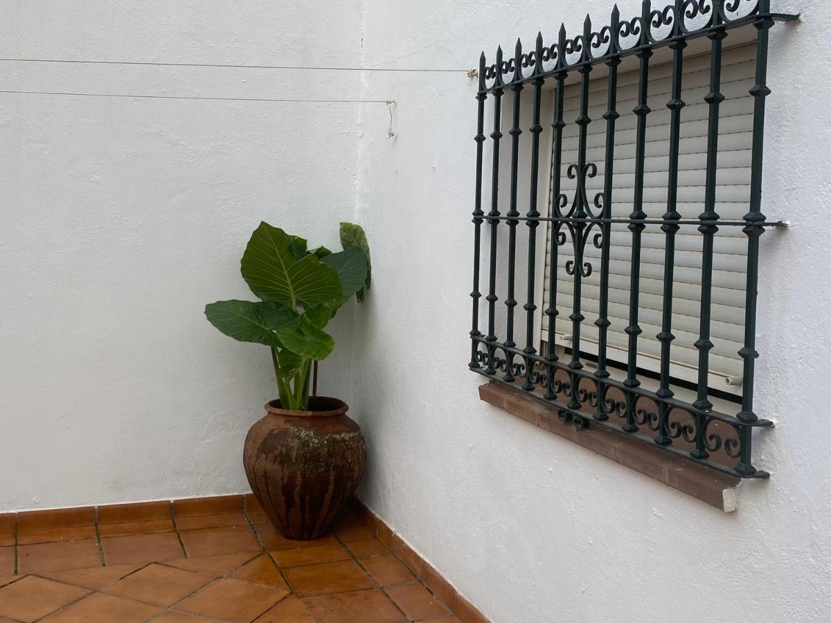 Casa Paloseto 伊格拉德拉谢拉 外观 照片